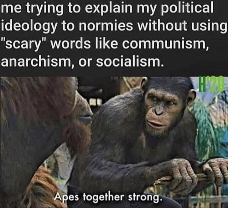 An ape explaining 'Left Wing' simply, without using scary words like communism, anarchism, socialism. The ape says, "Apes Together Strong".