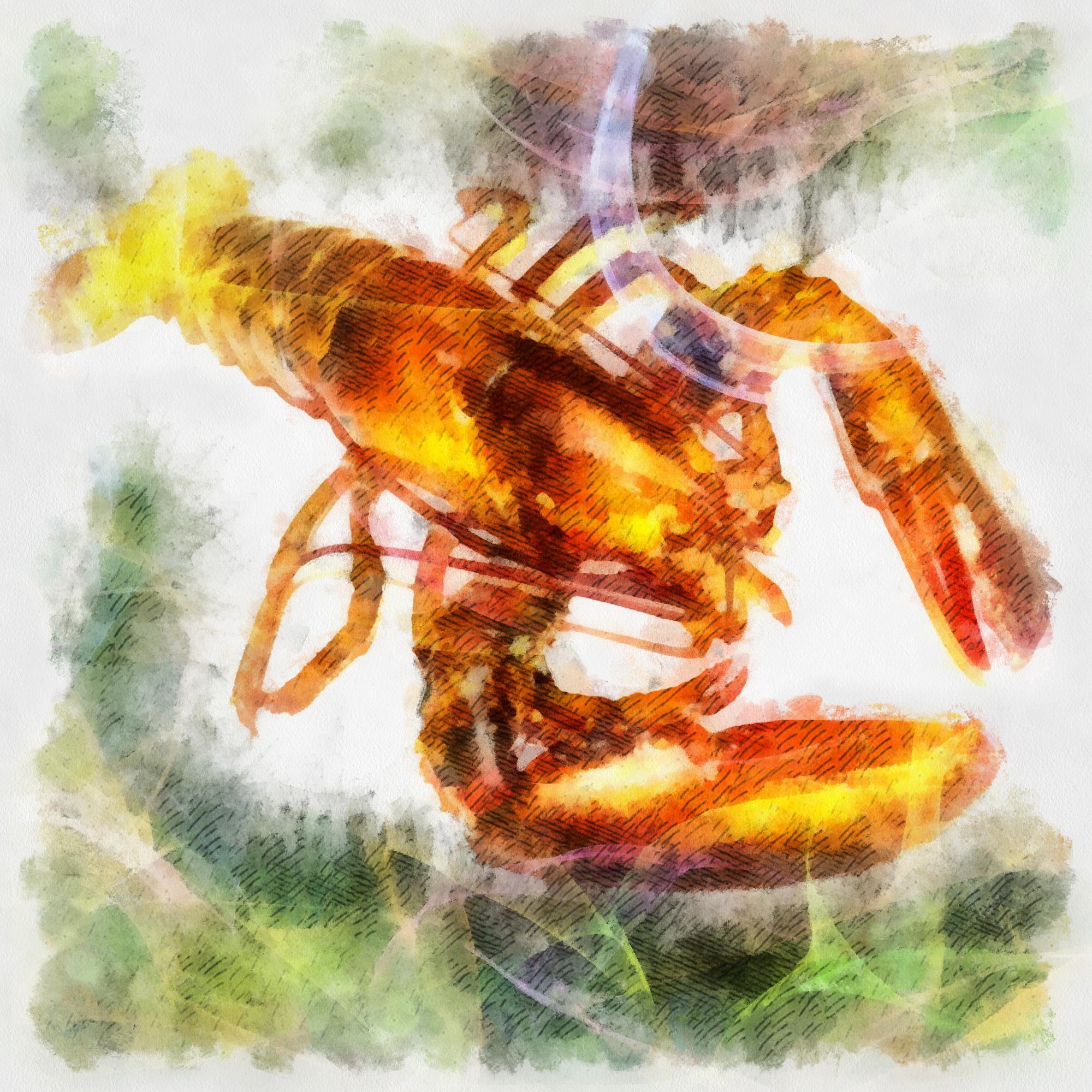 Lobster image