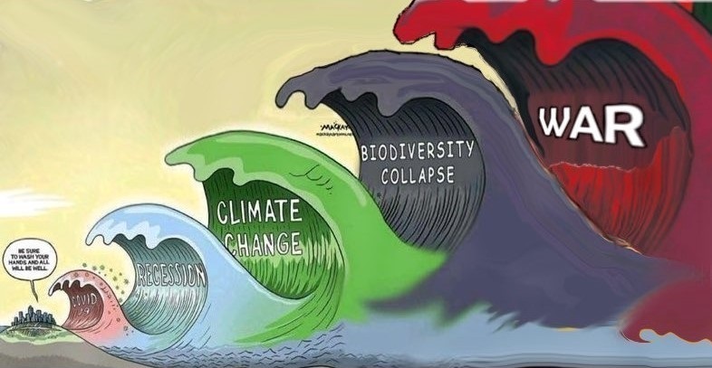 Fifth Wave cartoon (Covid, Recession, Climate Change, Biodiversity Collapse, War)