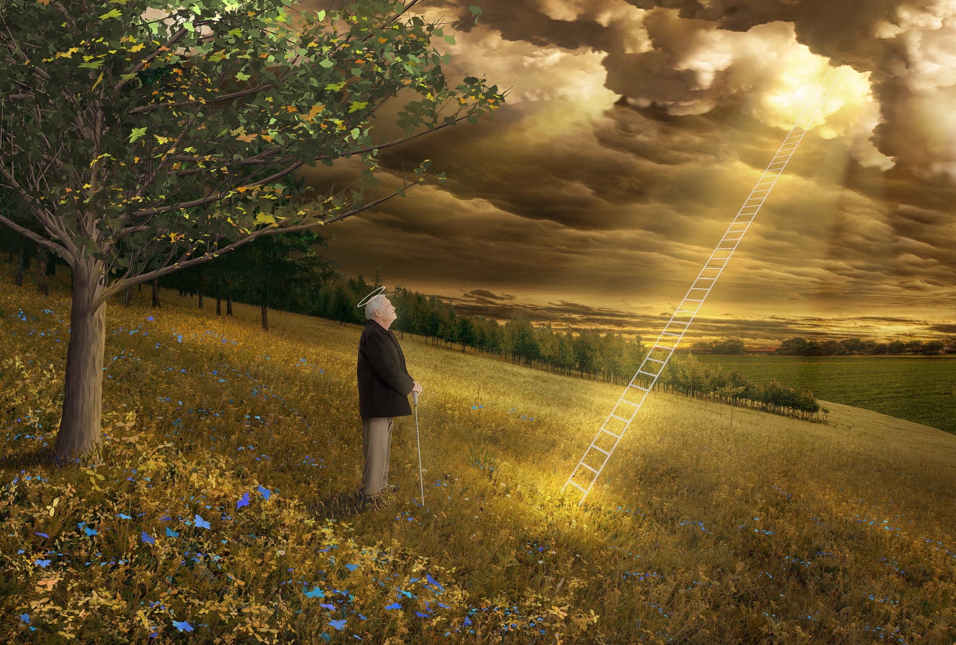An old man with a halo (or is it an angel?) stands with a walking stick in a field of flowers and next to an orchard. A long ladder reaches up from the field into the clouds and into heavenly light. The man stands gazing at the light.