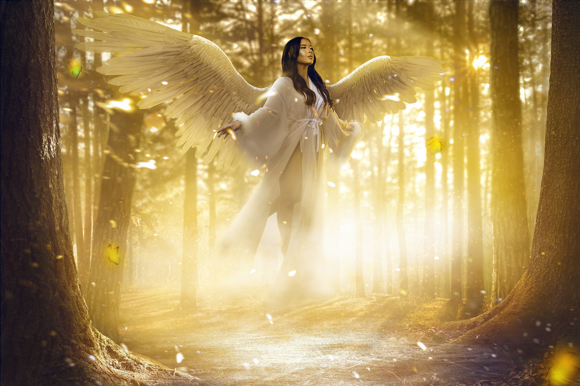 A female angel floats above the ground in a sunlit forest