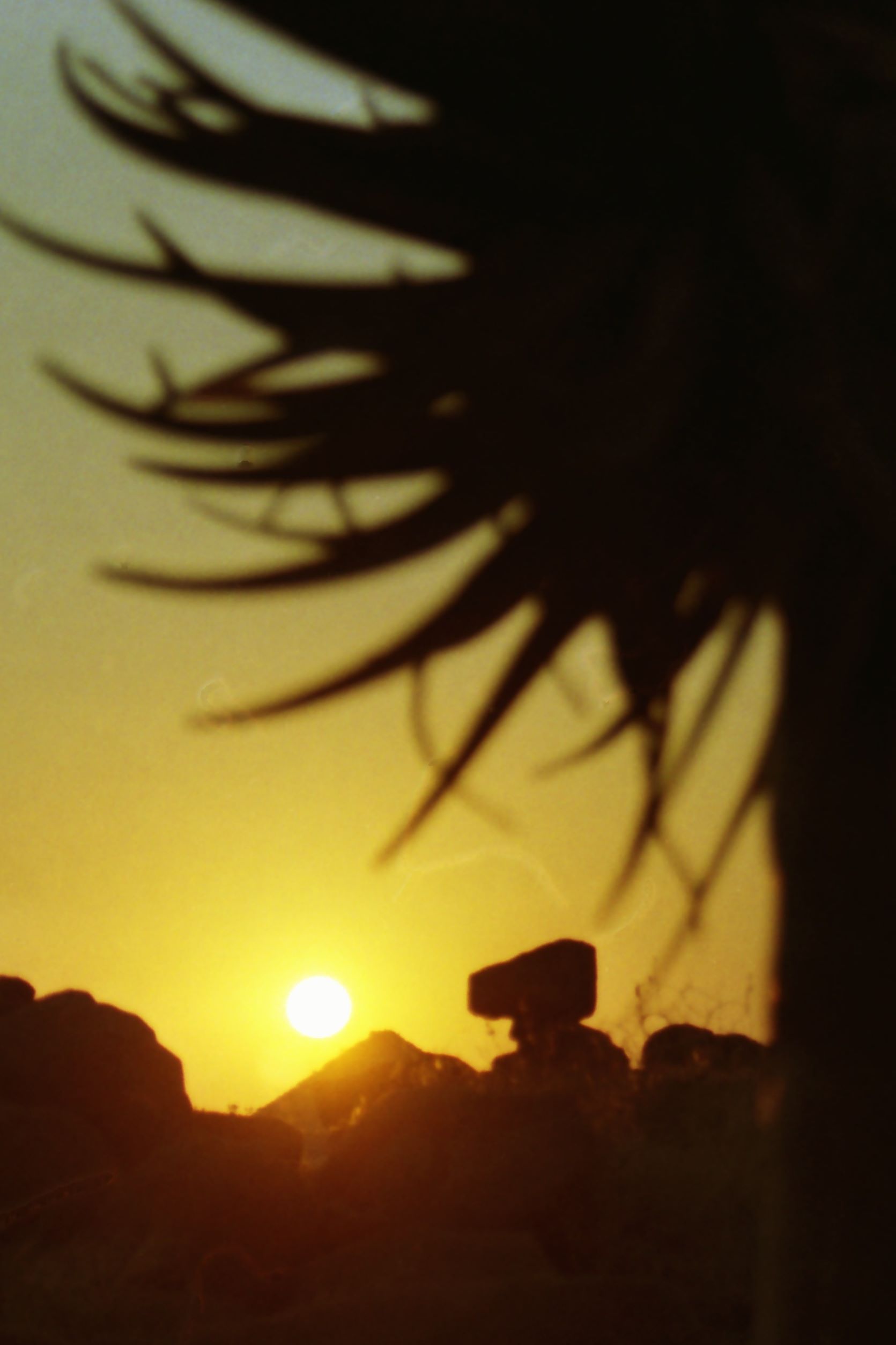 Namibia sunrise