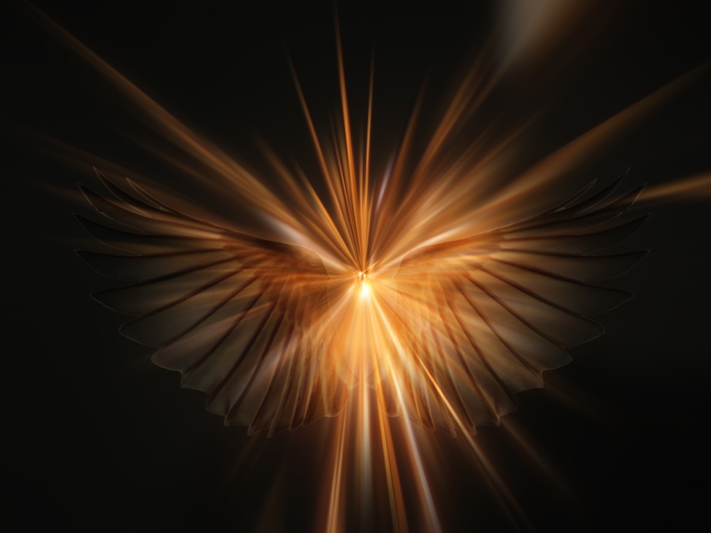 Angel Wings