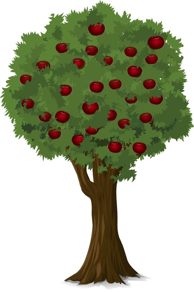Apple Tree graphic