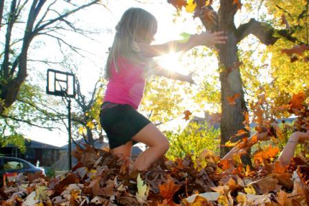 Autumn kids play freely in leaves