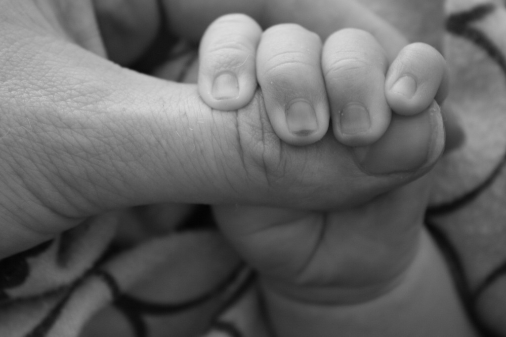 Baby's hand seen gripping adult thumb