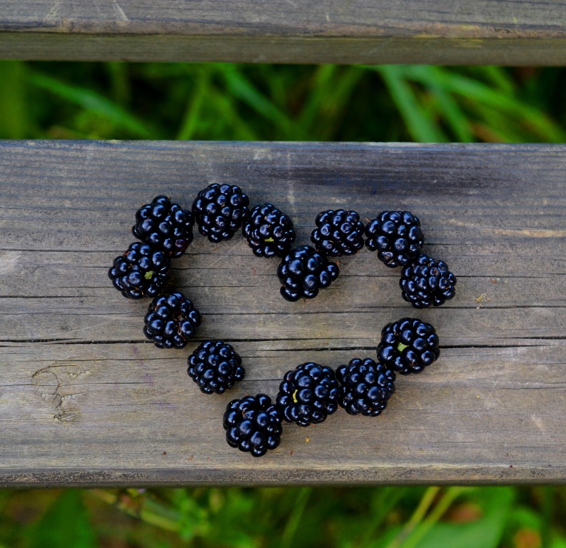 Blackberries in the shape of a heart, close-up on an old wooden bench