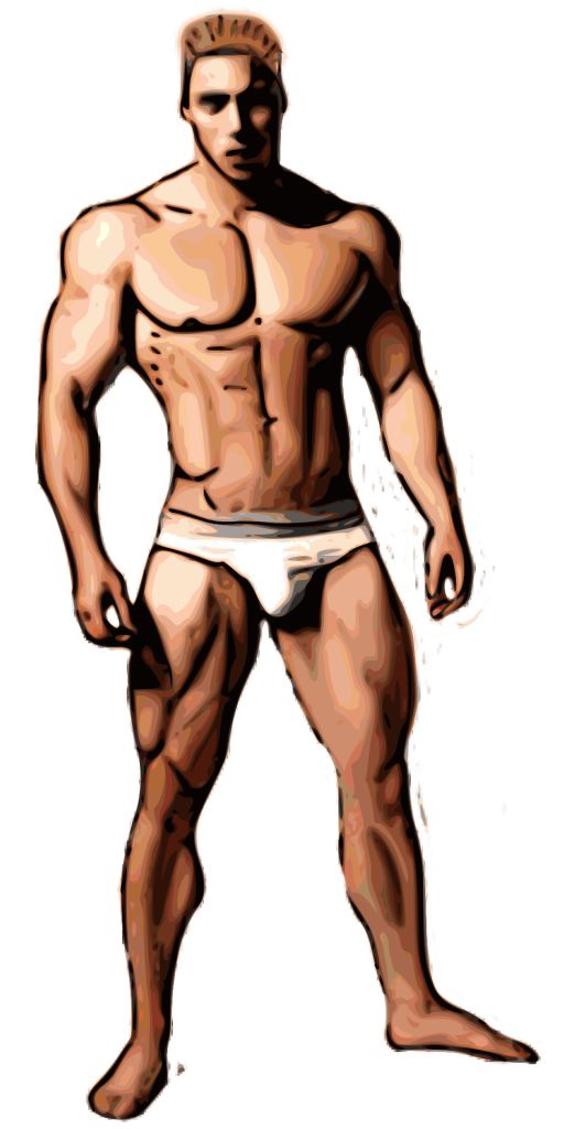 Young Bodybuilder graphic