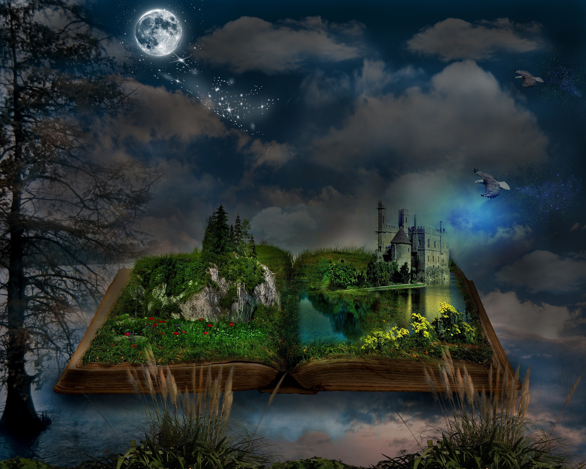 A fantasy image of a sky with clouds, stars and full moon. A book covers the lower part of the image. From the book emerge nature images, flowers, trees, a castle. All the imagery is real, not printed. The book floats on a magical lake.