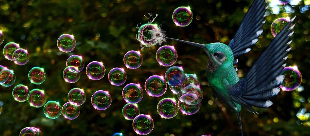 Hummingbird bursts bubble