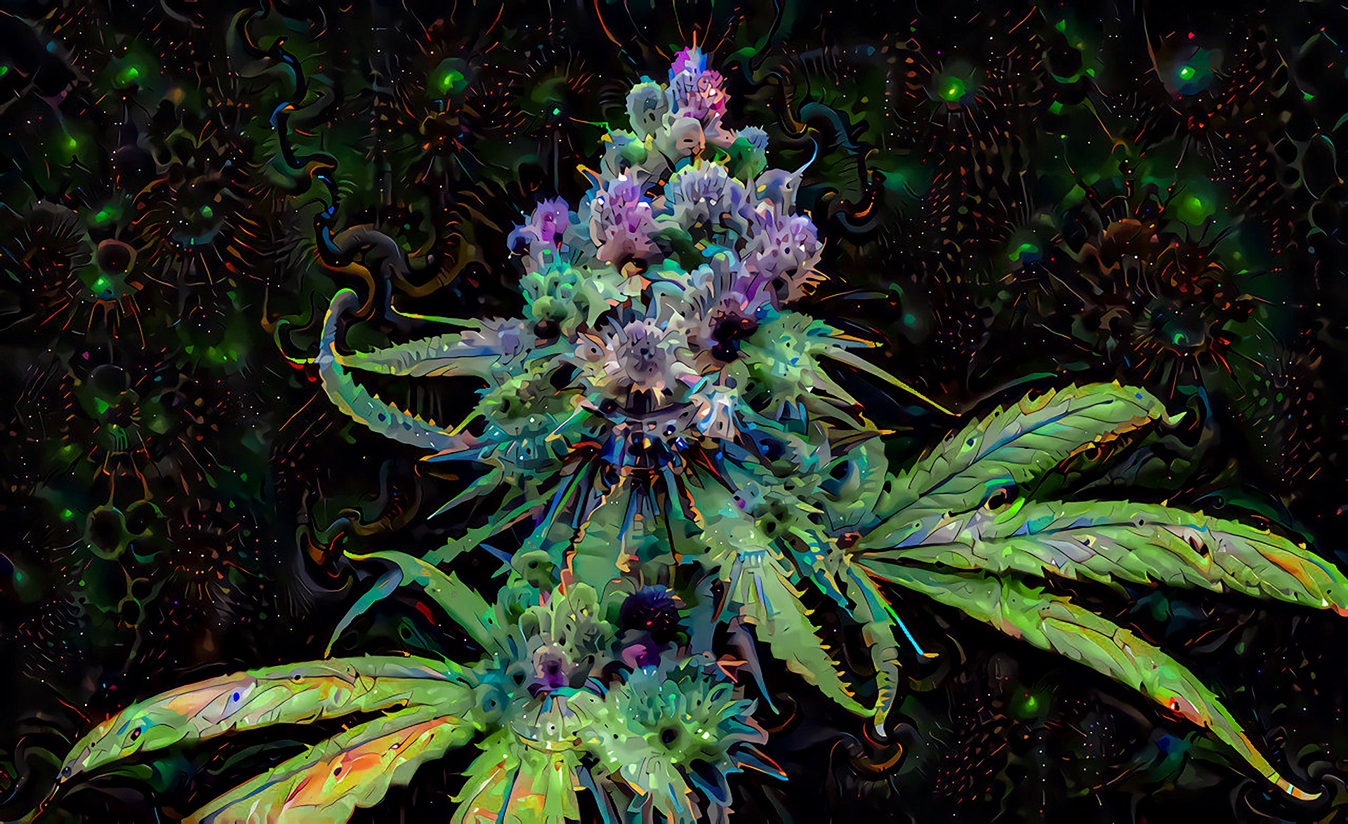 Cannabis sativa plant beautiful artwork