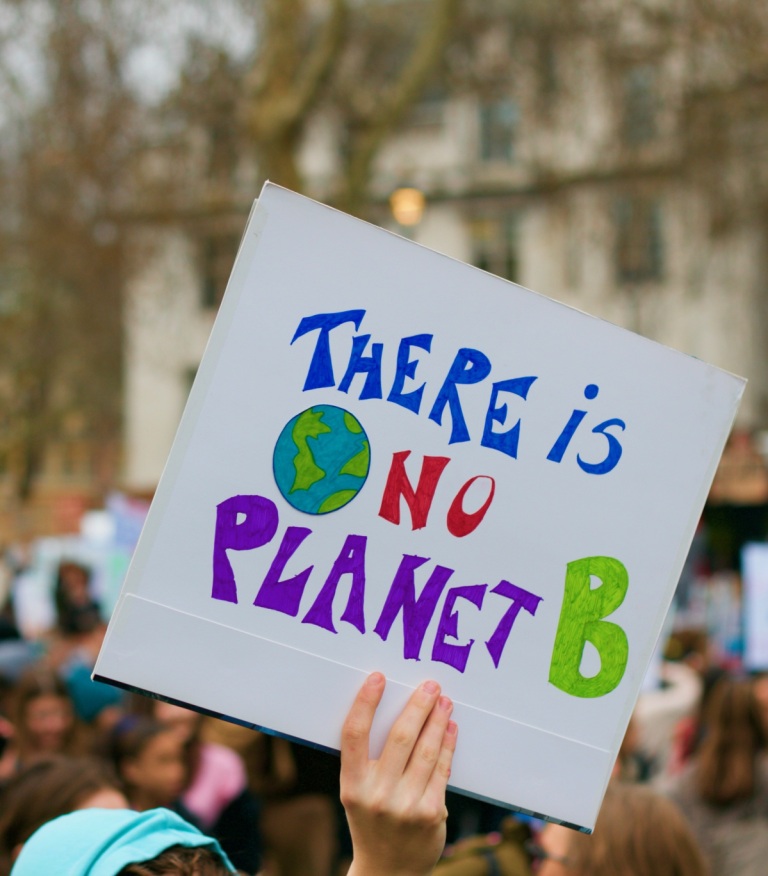 Climate activists demonstrating in London; we mainly see a placard held aloft that says 'There is No Planet B'