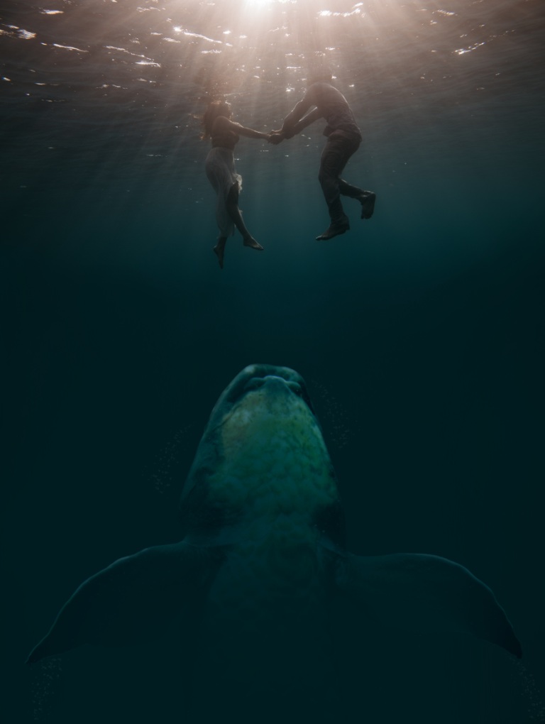 Couple in depths, whale below them