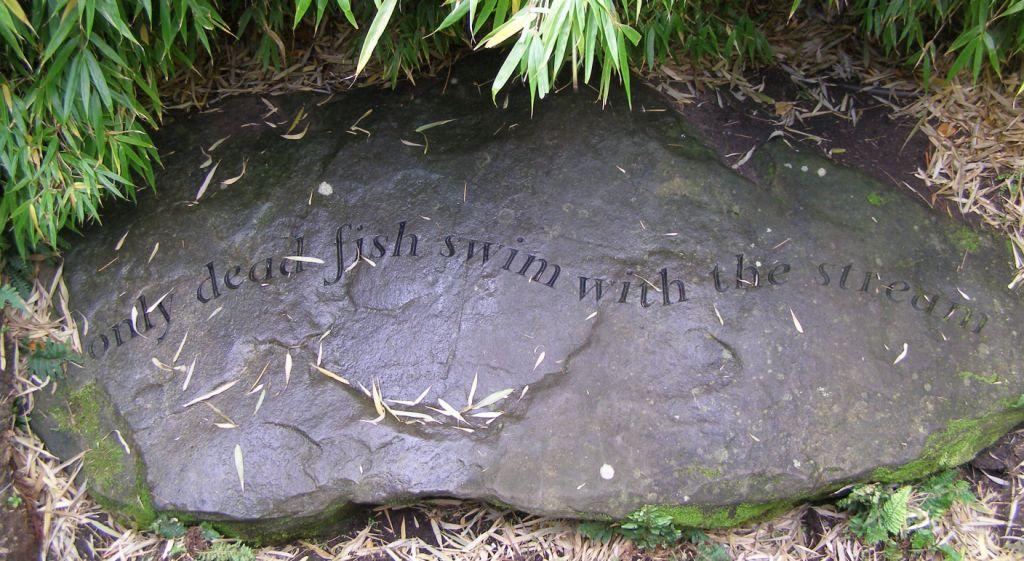 'Only dead fish swim with the stream' stone