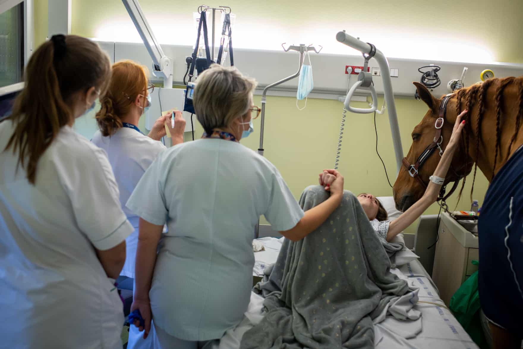 Doctor Peyo the horse at the bedside of a dying cancer patient, who reaches out to touch the horse, medical staff looking on
