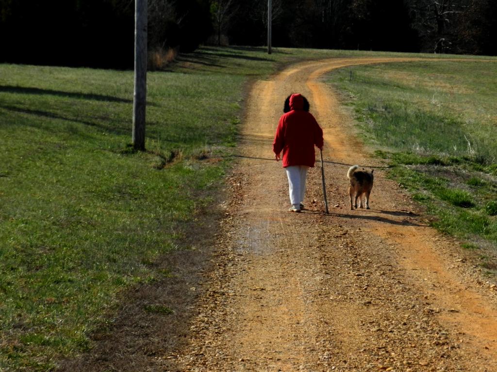Human walks with dog