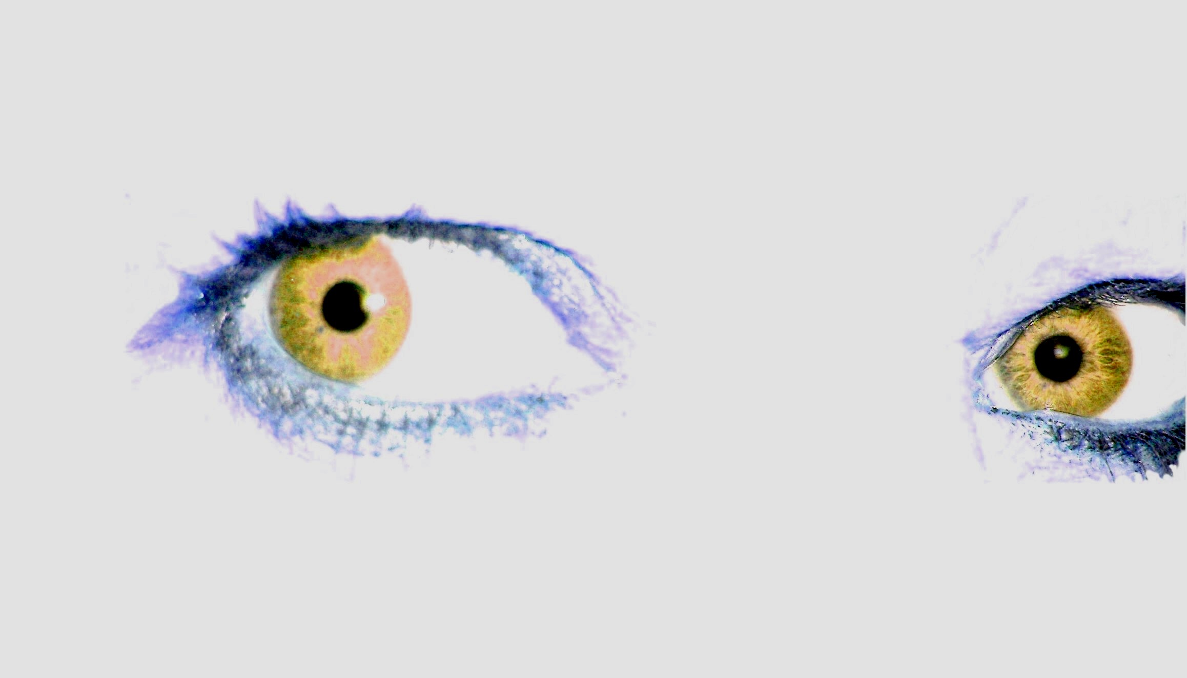 Yellow eyes