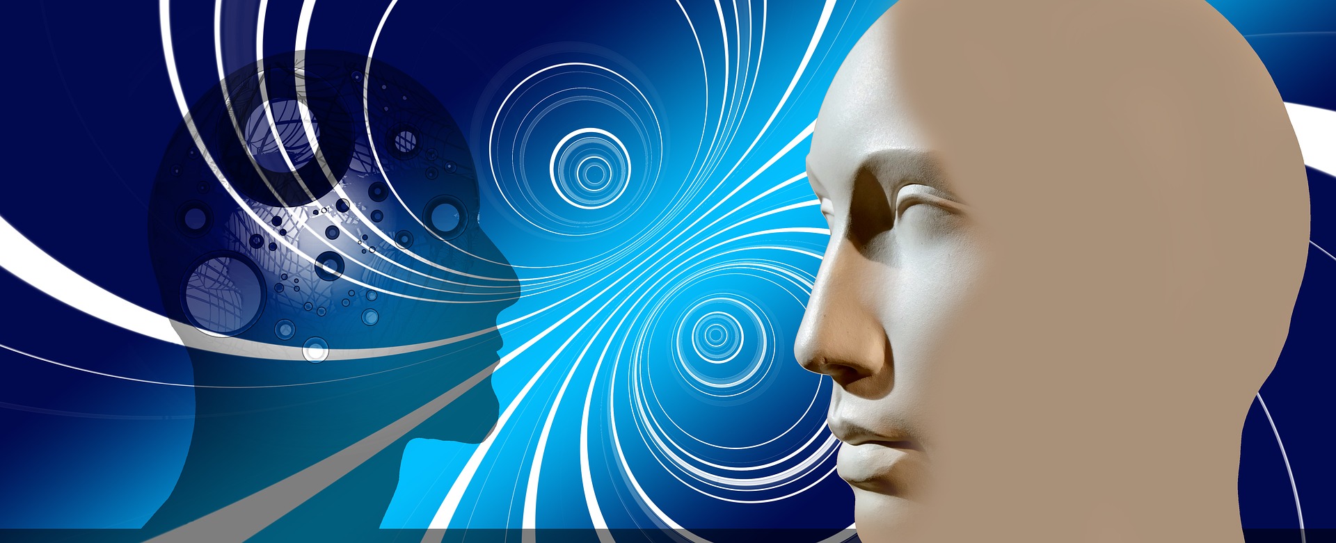 A graphic of two identically shaped heads facing each other. One is light, one is dark. Various lines of energy appear to flow between them.
