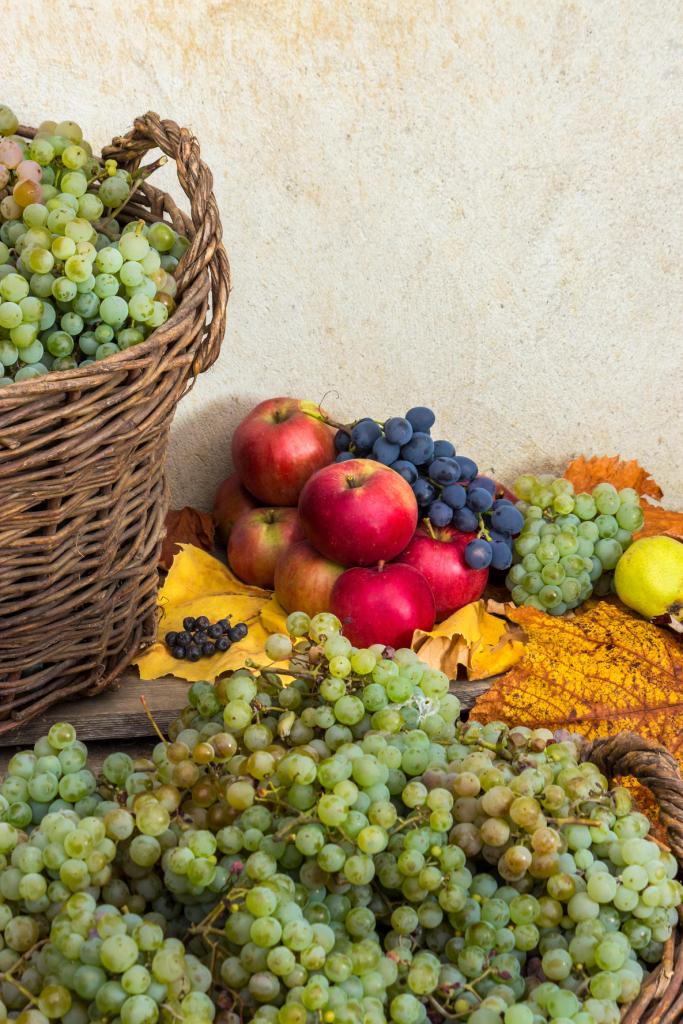 Fruit basket