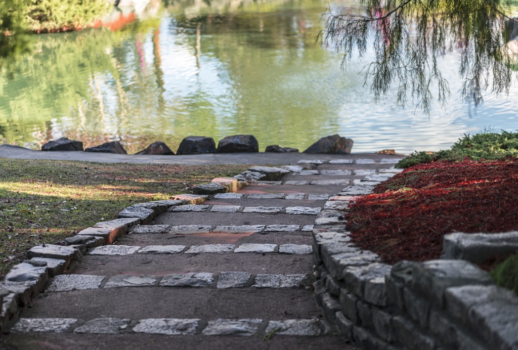 Zen garden