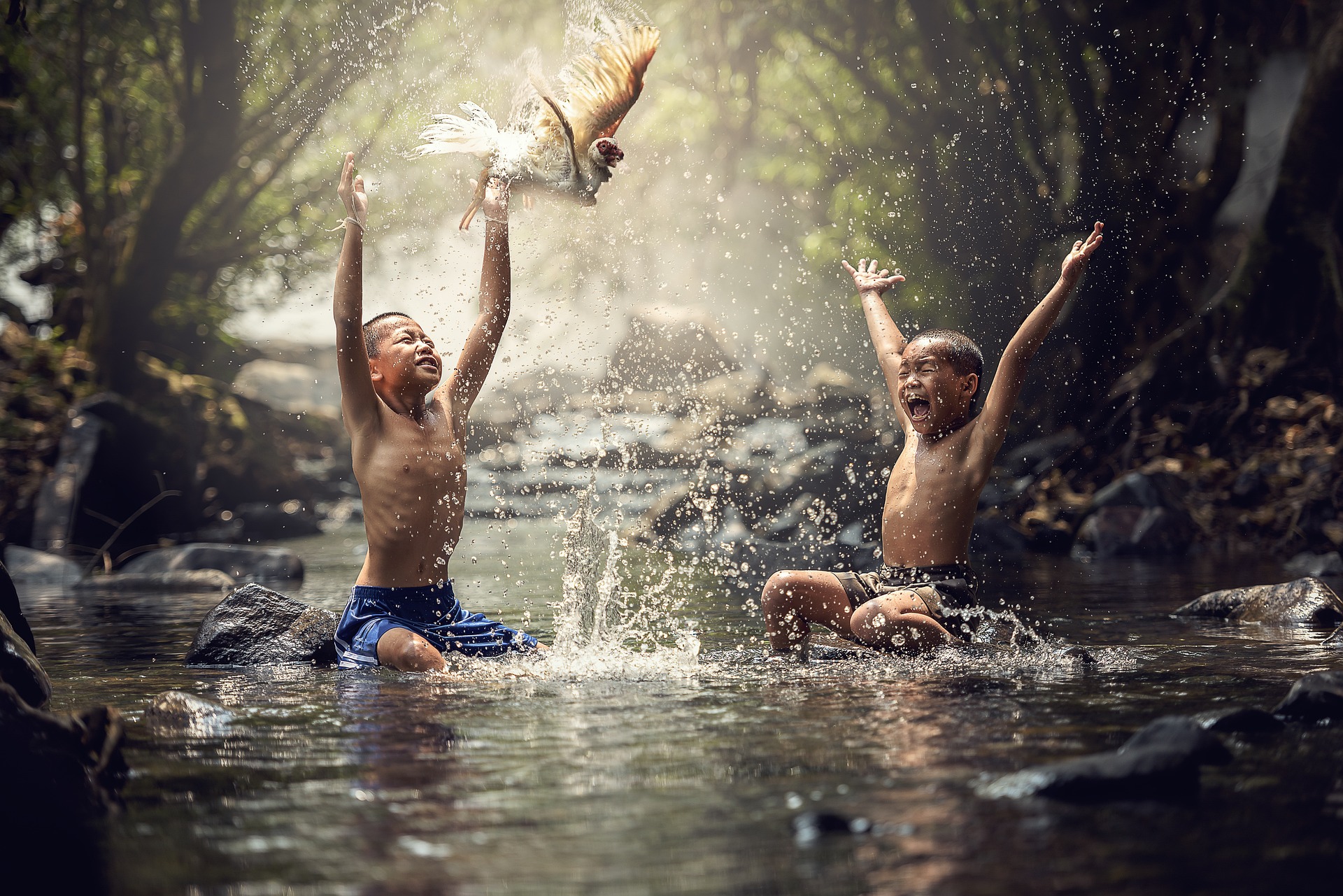Two boys are playing in a forest stream, splashing water joyfully, whilst a bird flies between them