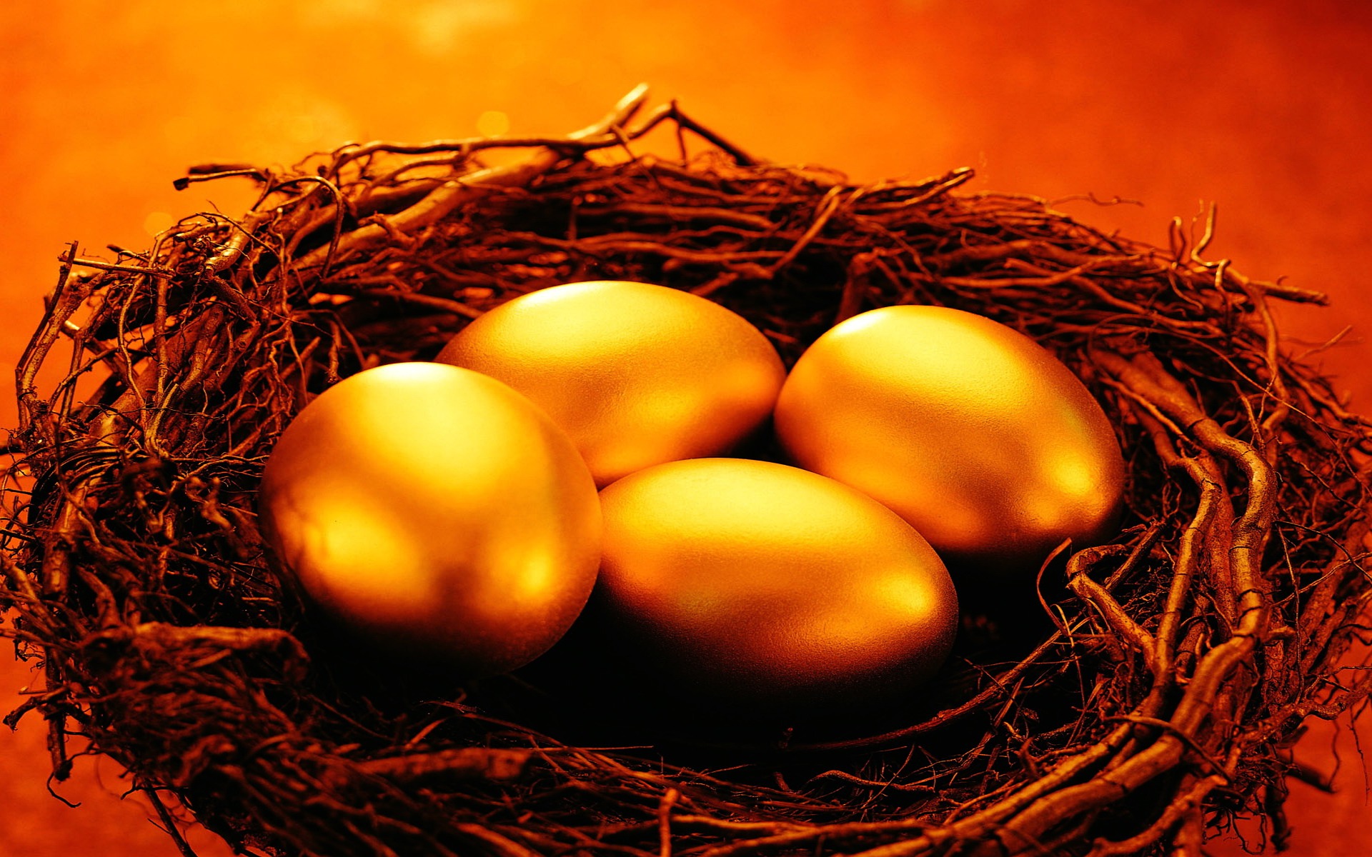 A fantasy picture of a nest with four glowing golden eggs