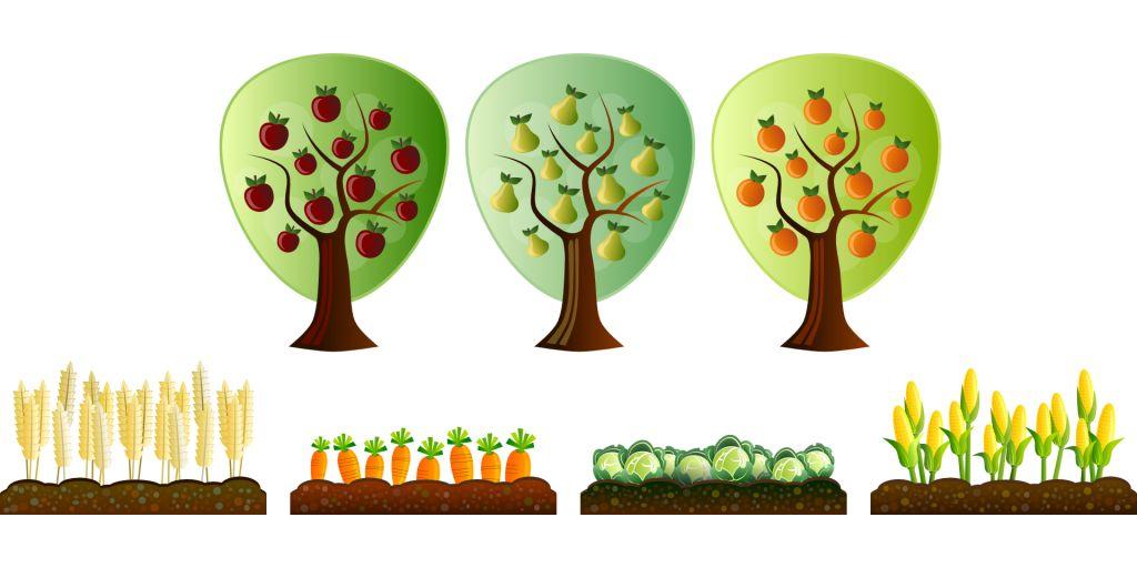 Graphic of prolific plants