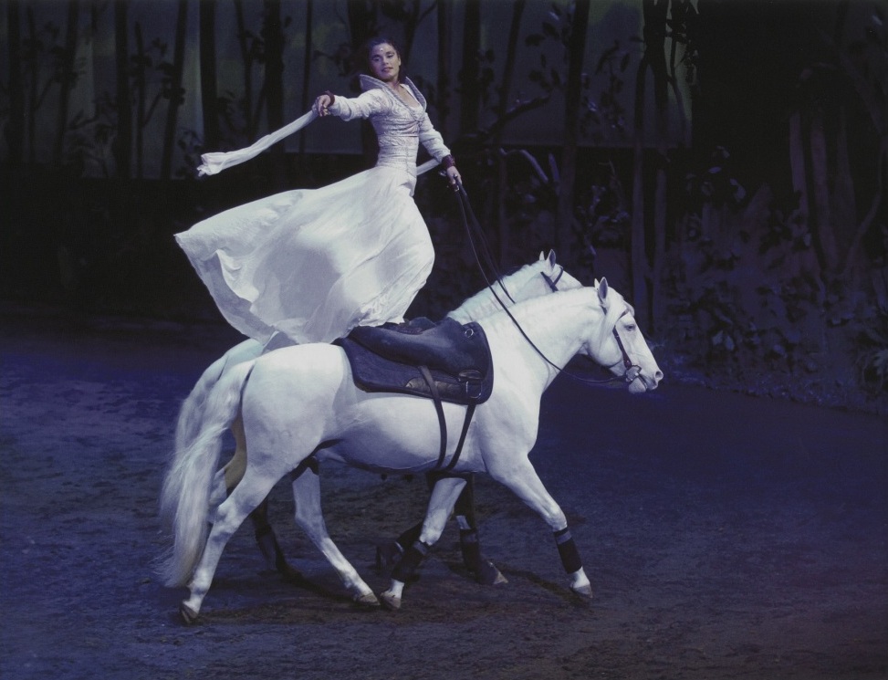 Woman in white standing on two white horses
