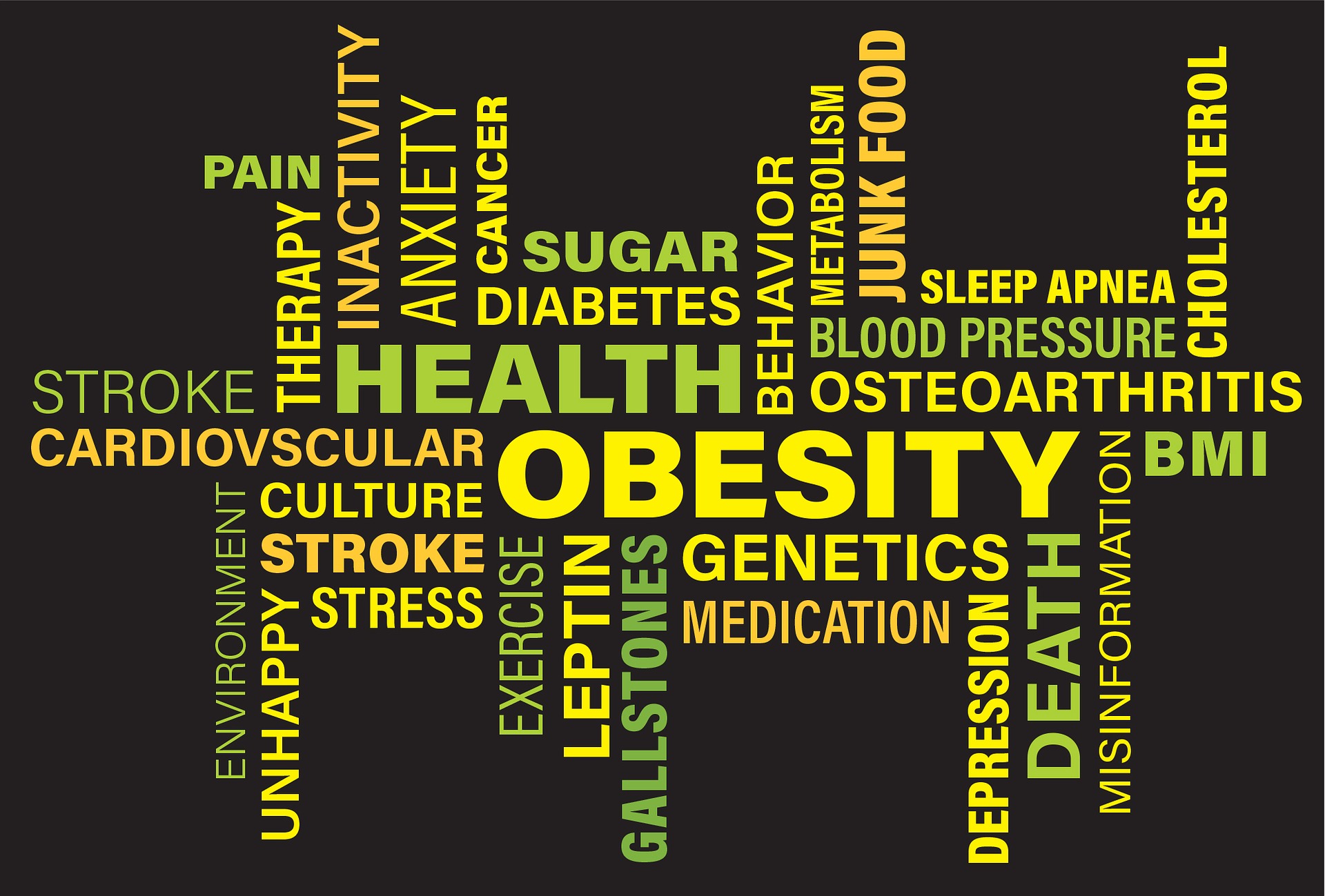 A graphic of many interlinked words in green, yellow and orange on a black background. The biggest word is 'Obesity' and many interlink with it, e.g. diabetes, pain, stress. culture, junk food, misinformation, unhappy, medication, therapy, etc.