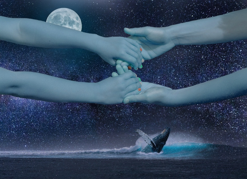 Ocean Heart