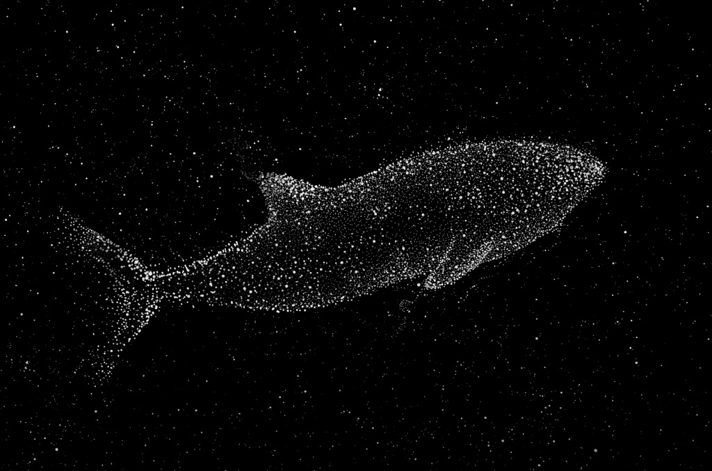 Whale B&W picture