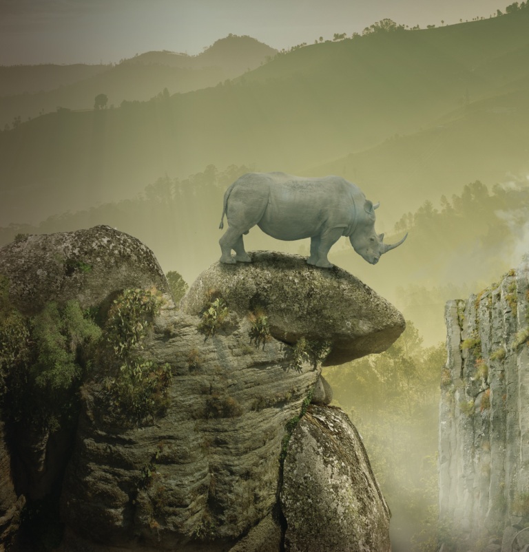 Rhino following the lemmings?
