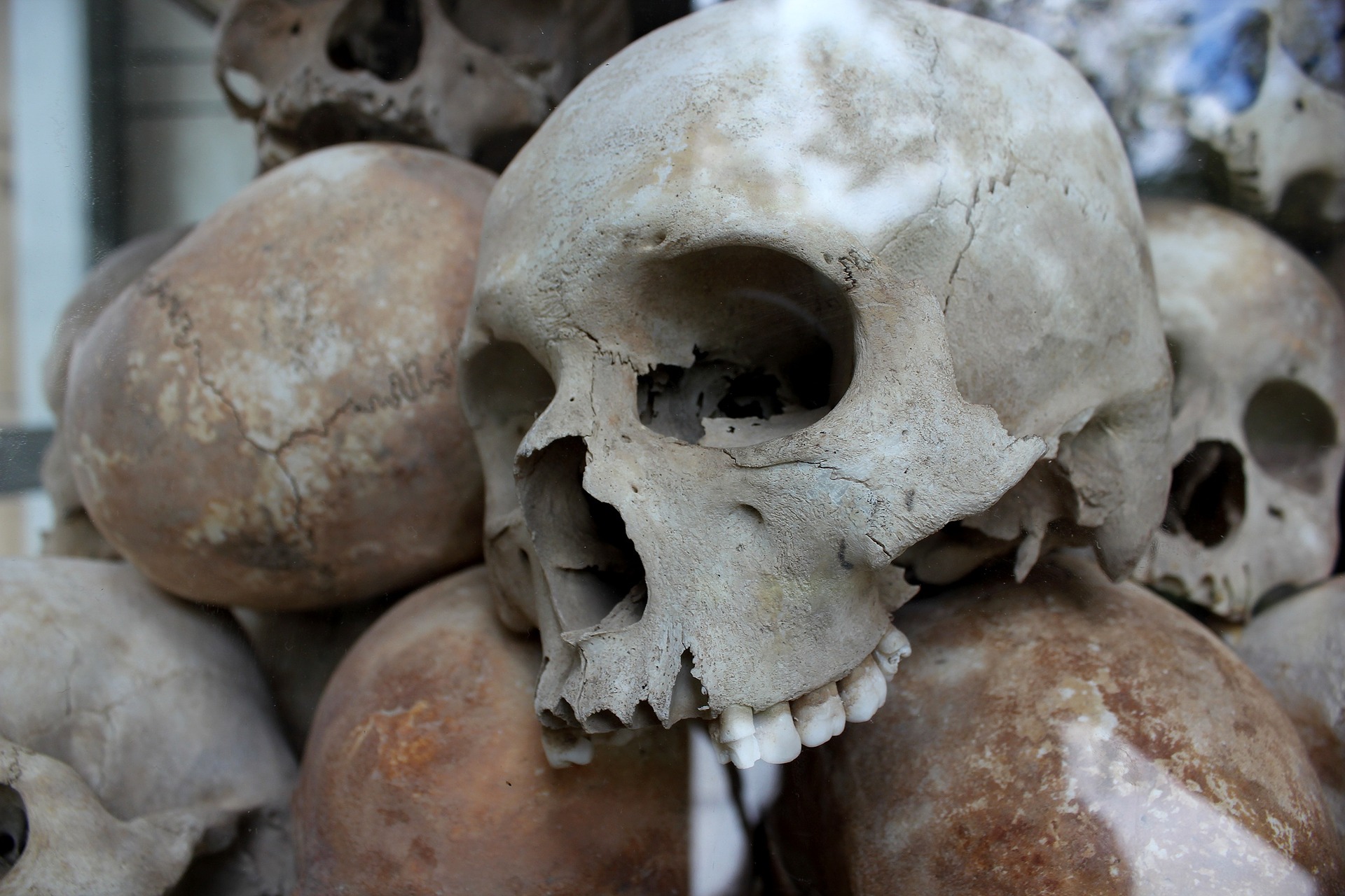Skulls from the Cambodian genocide