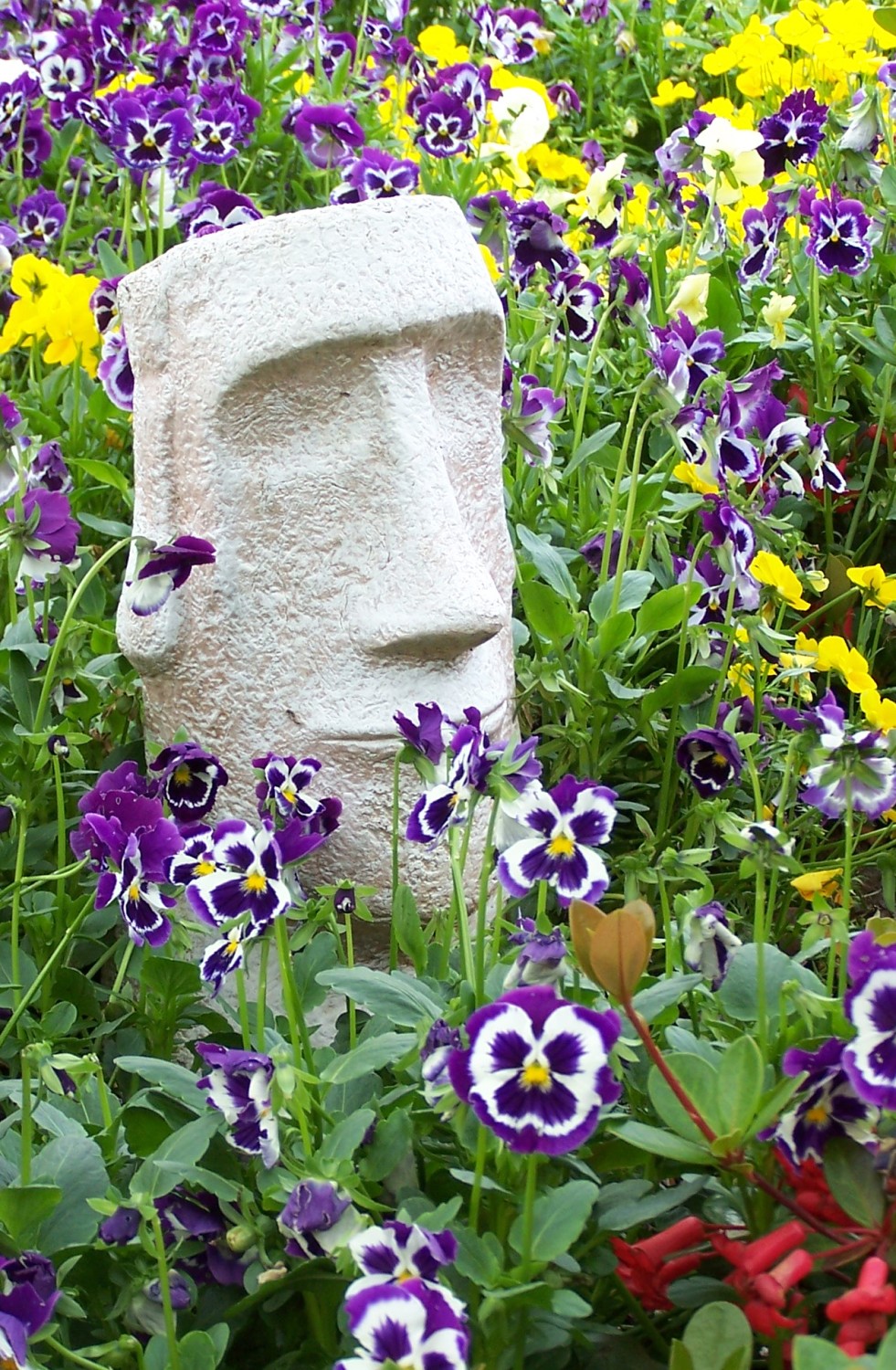 Stone Face & Flowers