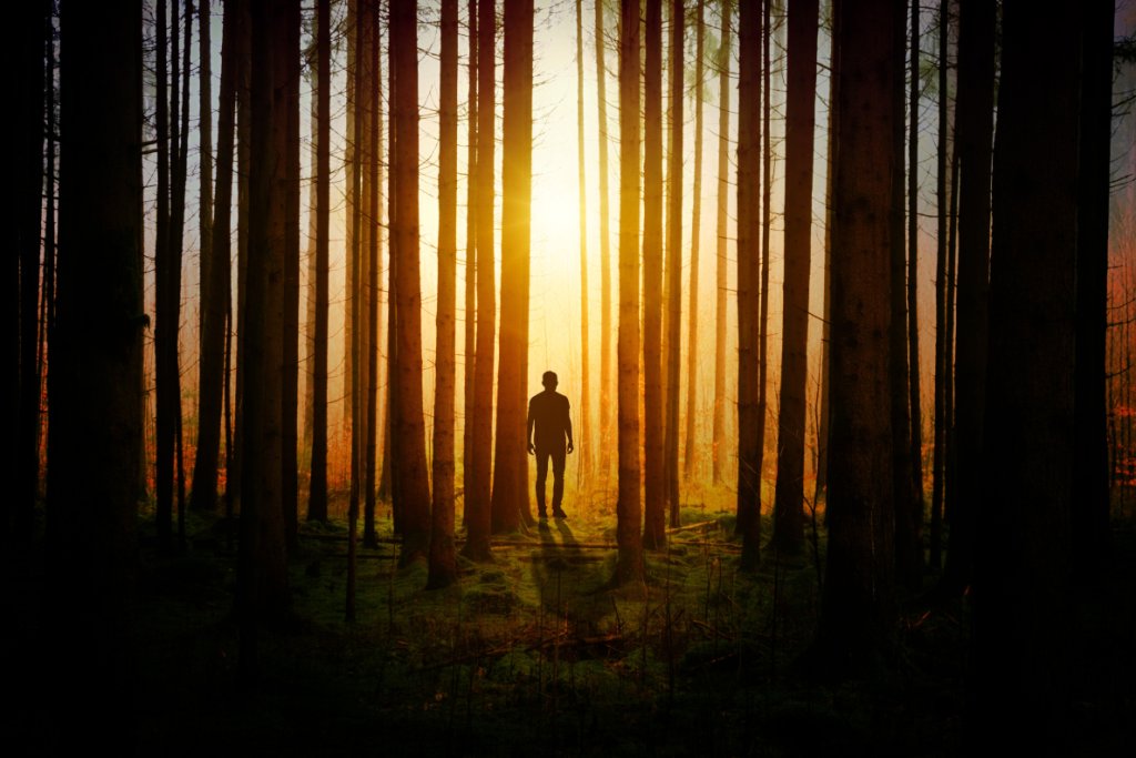Silhouette of man in dark forest, sun in back ground - Walk to the Sun!