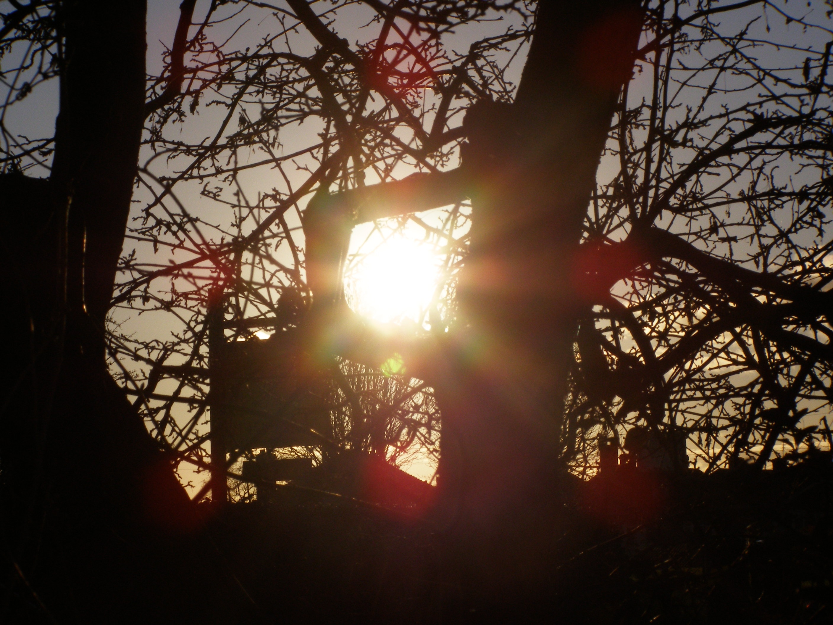 Glastonbury Sun