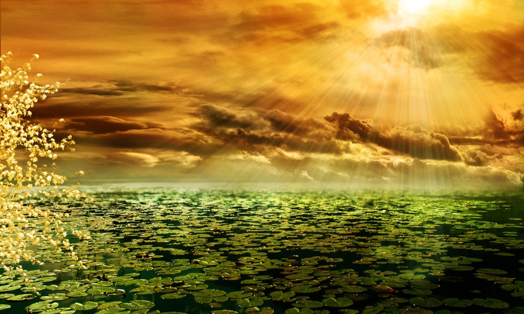 Sun Pond