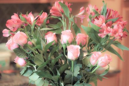 Thank you roses