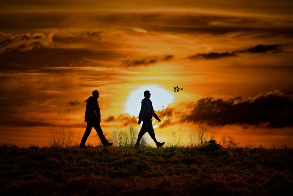 Walking in the Sun