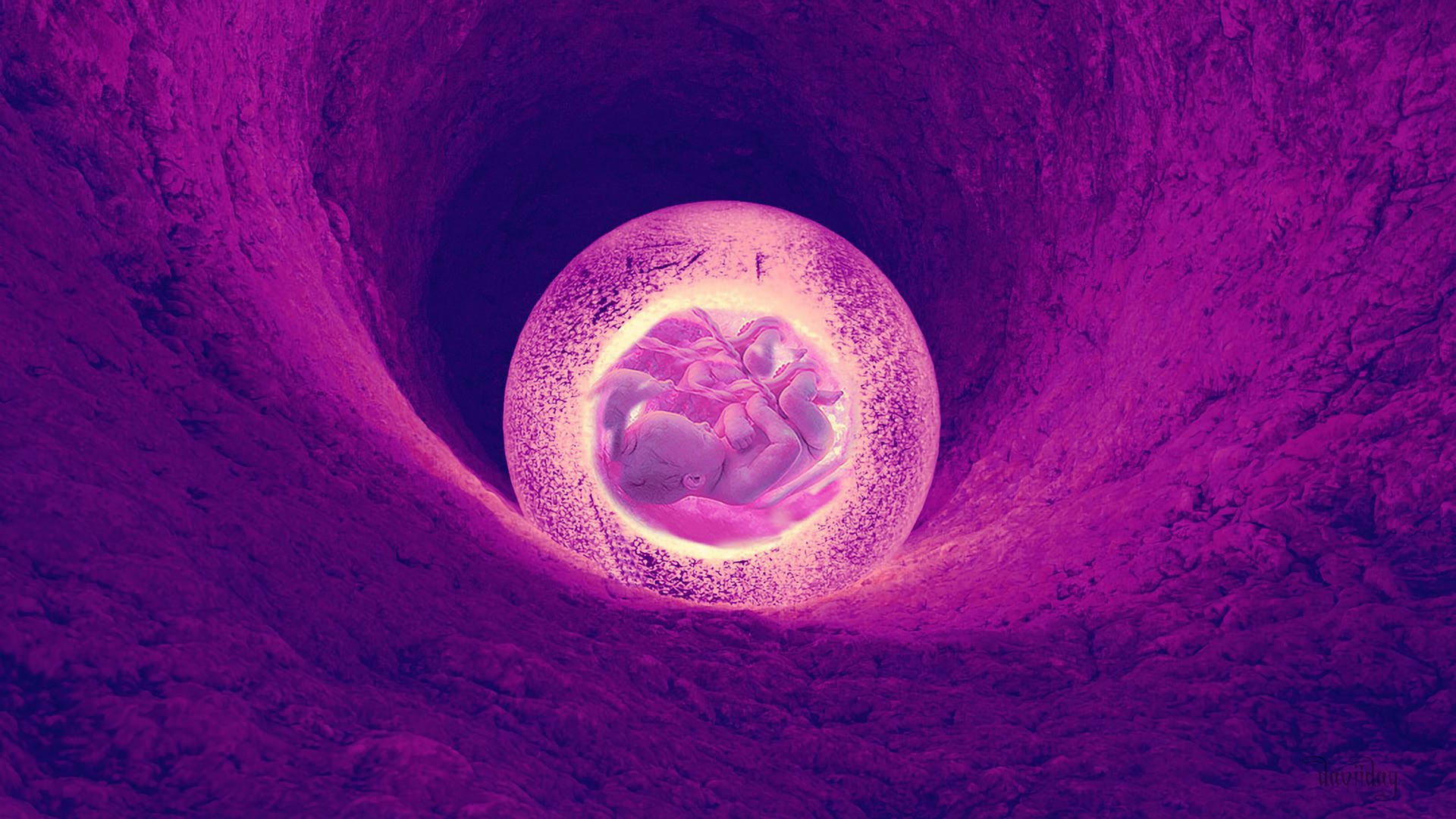 Fantasy art of foetus in a warm cavelike place with a soft magenta light