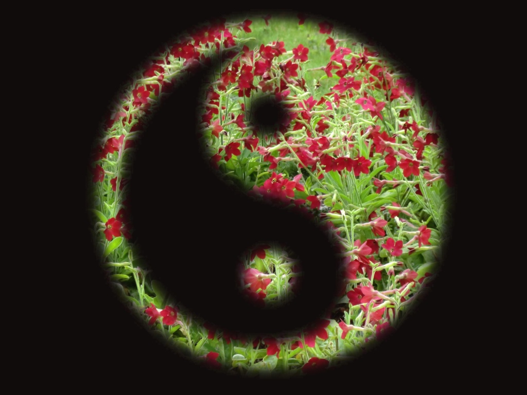 Flowers Yin-Yang symbol