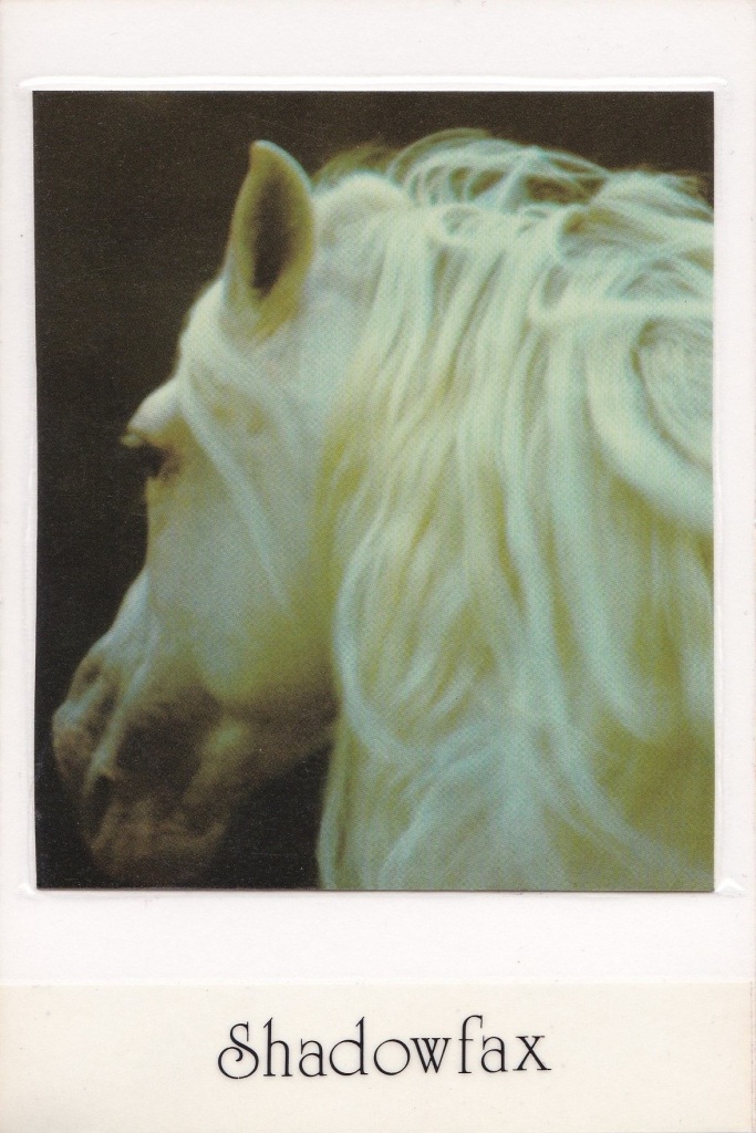 7 - Shadowfax (The Chariot)