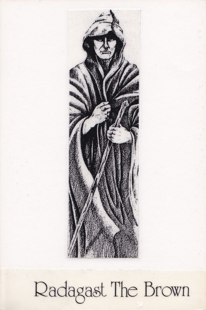 9 - Radagast the Brown (The Hermit)