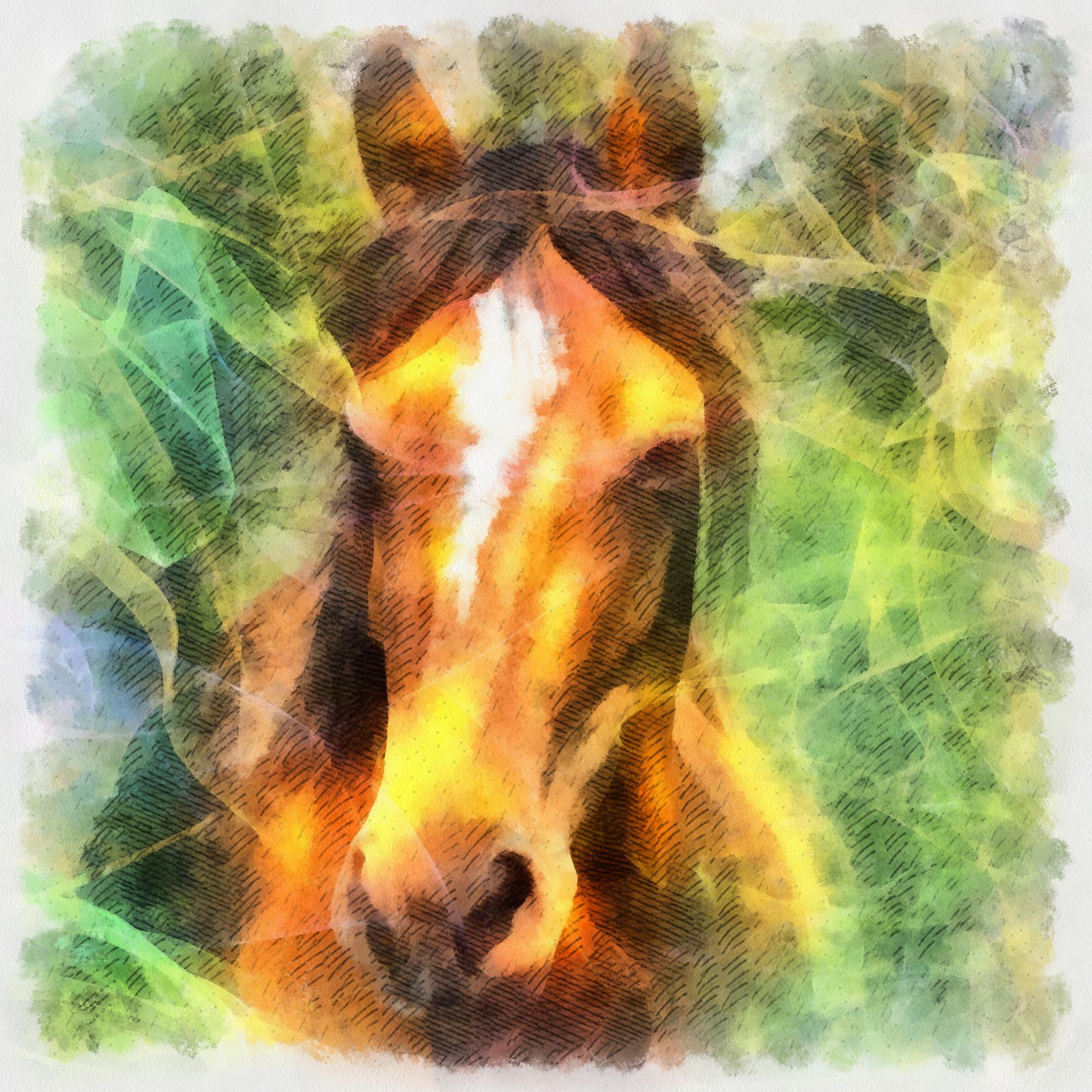Horse energy