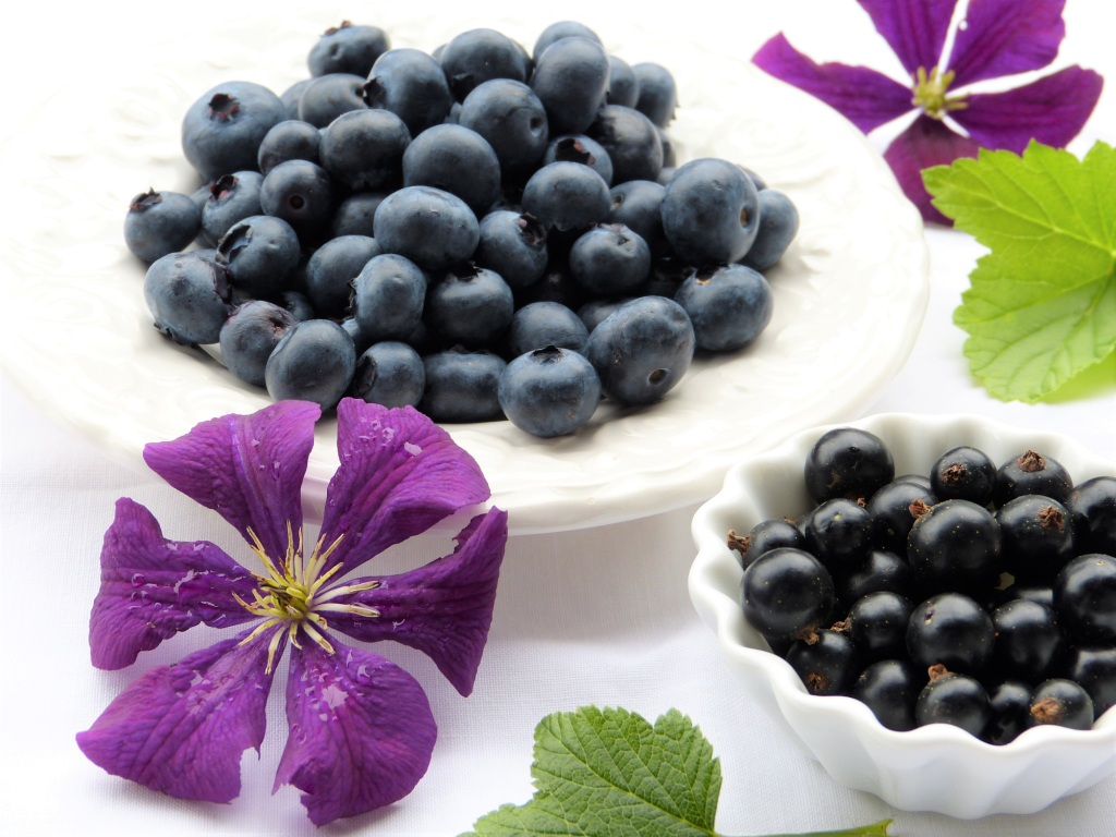 Blueberries & Flowers