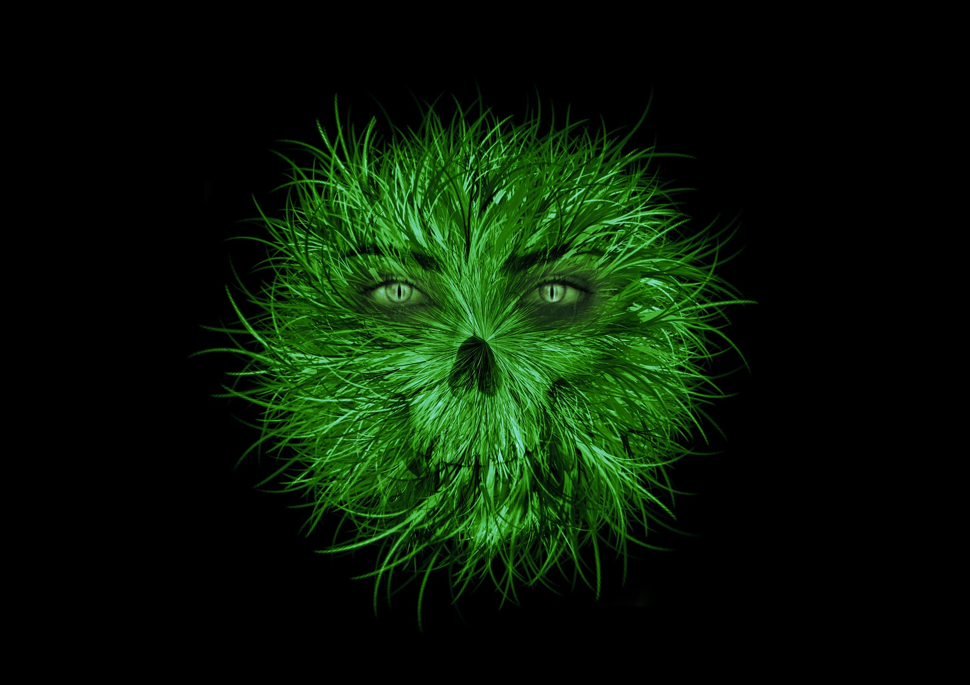 Against a black background, a combination of a green bacteria-like organism with both a subtle human, friendly face and a furry pet appeal