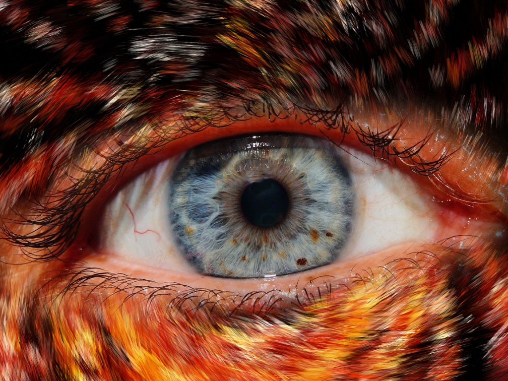 Human eye with surrounding fur skin