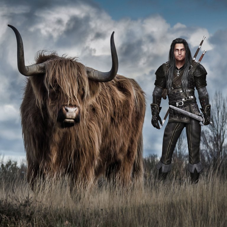 Warrior & Highland Cow