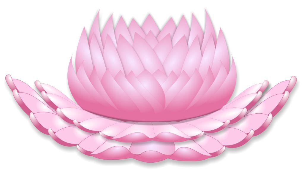 Pink Lotus graphic