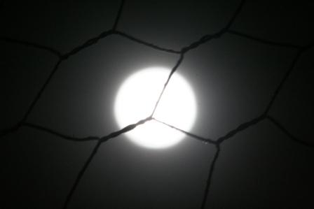 Moon and fence